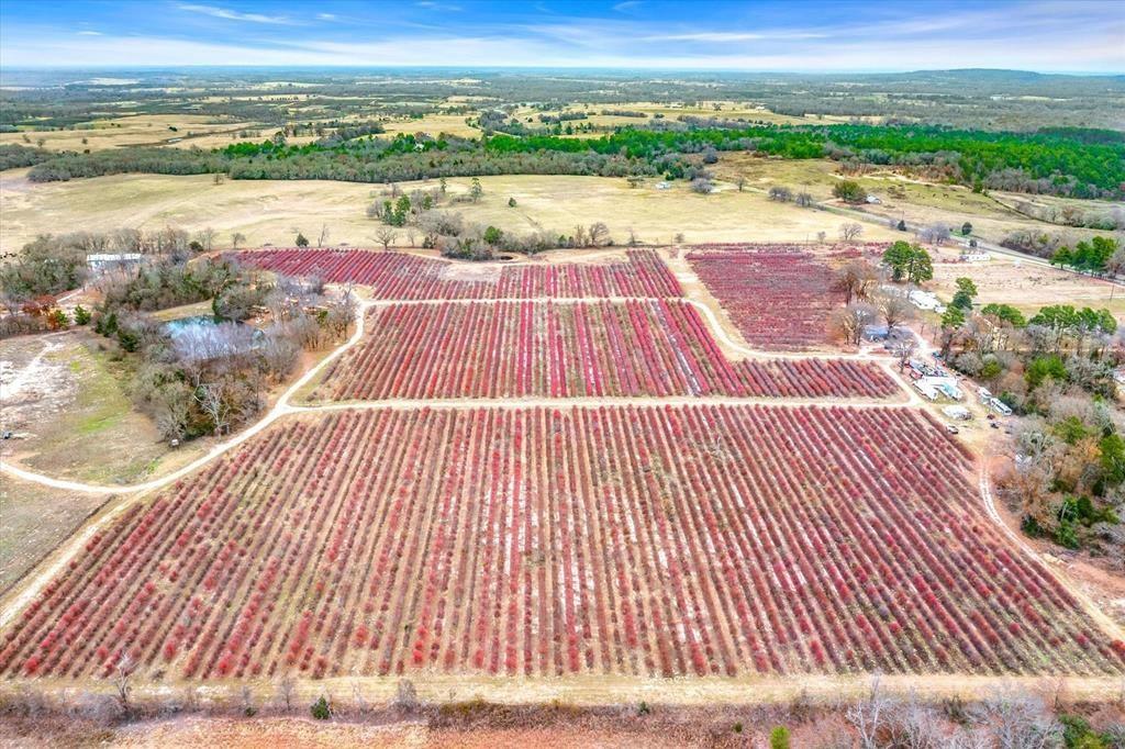 12462 Fm 2588 Property Photo 26