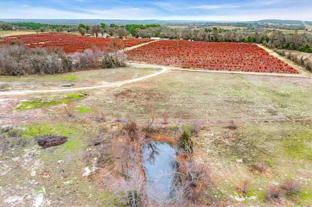 12462 Fm 2588 Property Photo 27