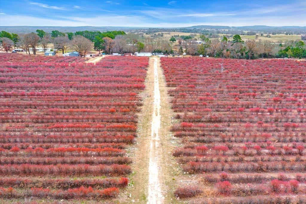 12462 Fm 2588 Property Photo 28