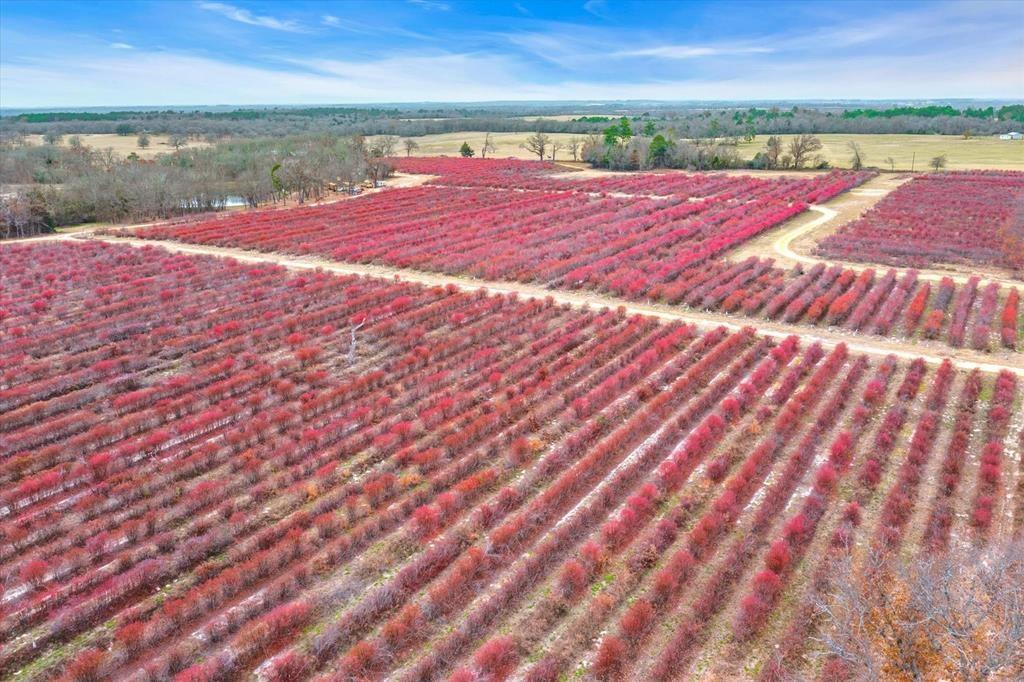 12462 Fm 2588 Property Photo 29