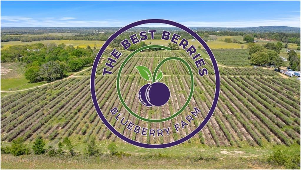 12462 Fm 2588 Property Photo 30