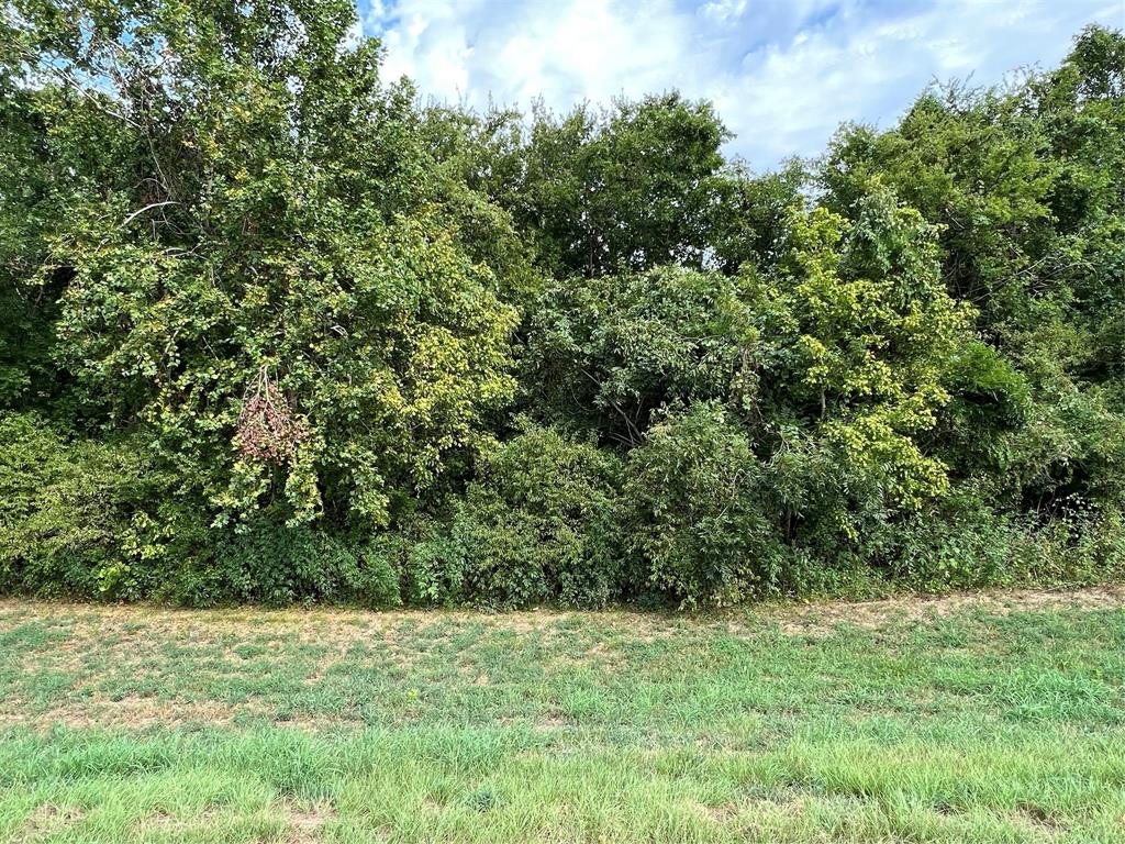 10601 E Kings Highway Property Photo 10