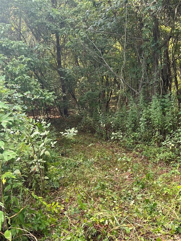 10601 E Kings Highway Property Photo 11