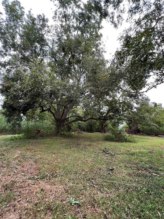 10601 E Kings Highway Property Photo 16