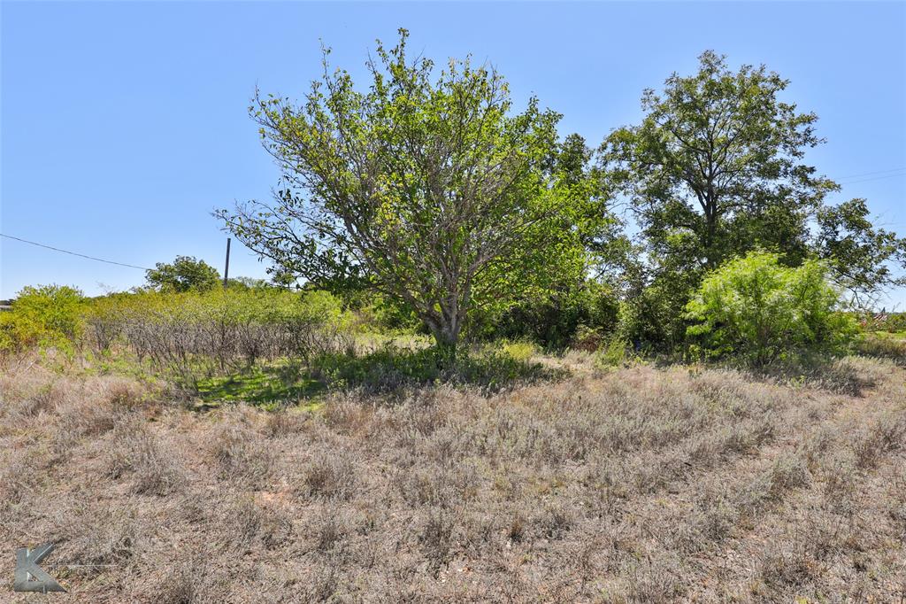 9738 County Road 226 Property Photo 4