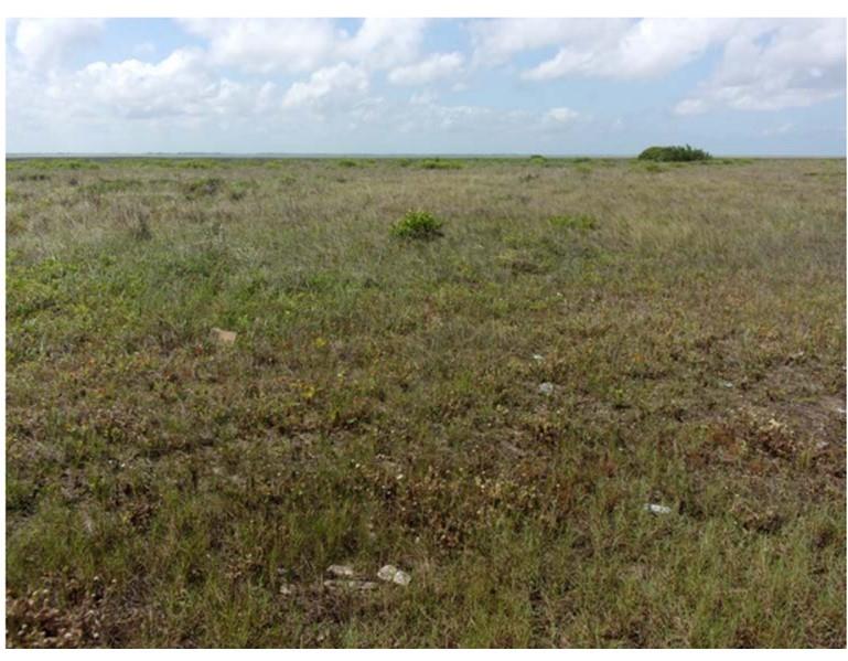 Tbd County Road 257 Property Photo 6