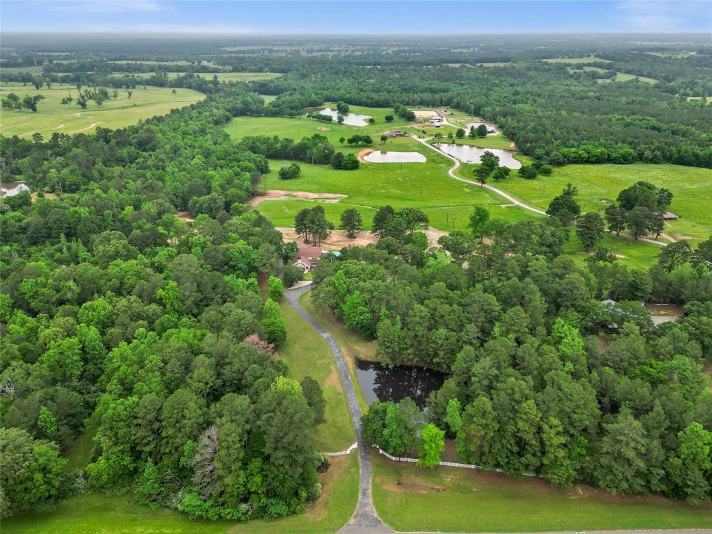 19413 Us Highway 79 Property Photo 2