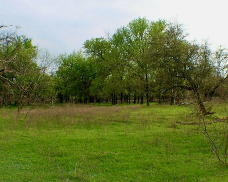 Tbd Cr 333 Property Photo 1