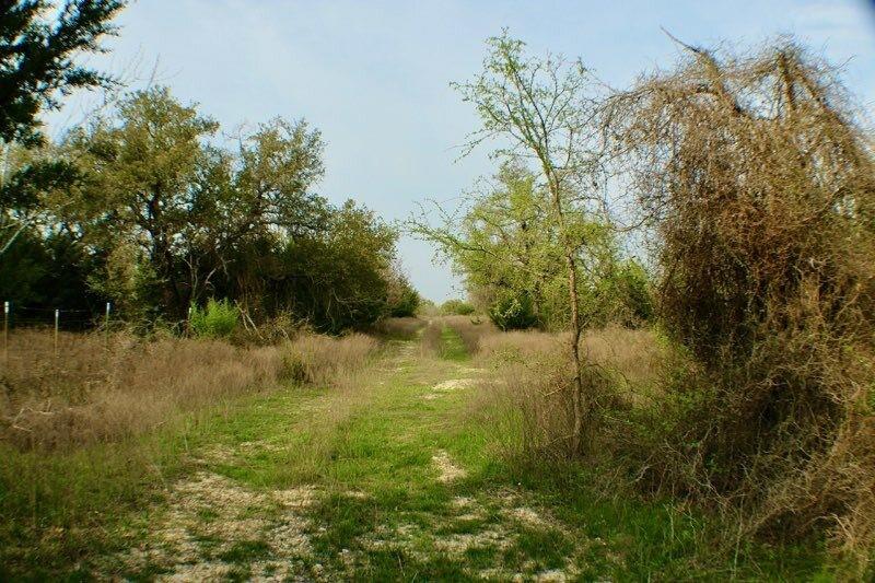 Tbd Cr 333 Property Photo 4