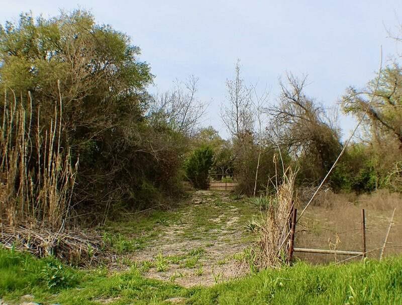 Tbd Cr 333 Property Photo 5