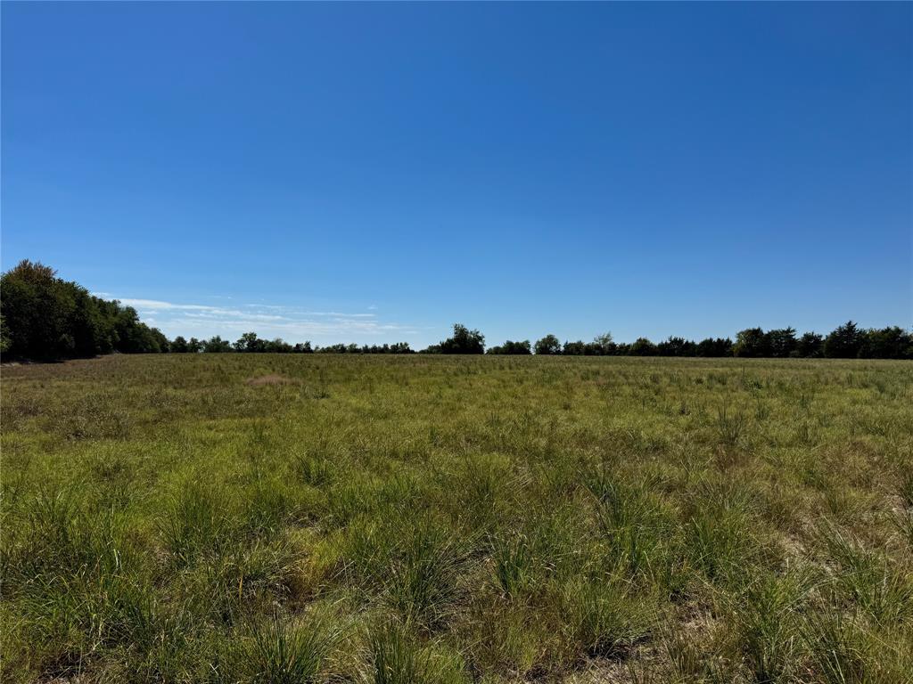 TBD OLD BONHAM ROAD Property Photo 1