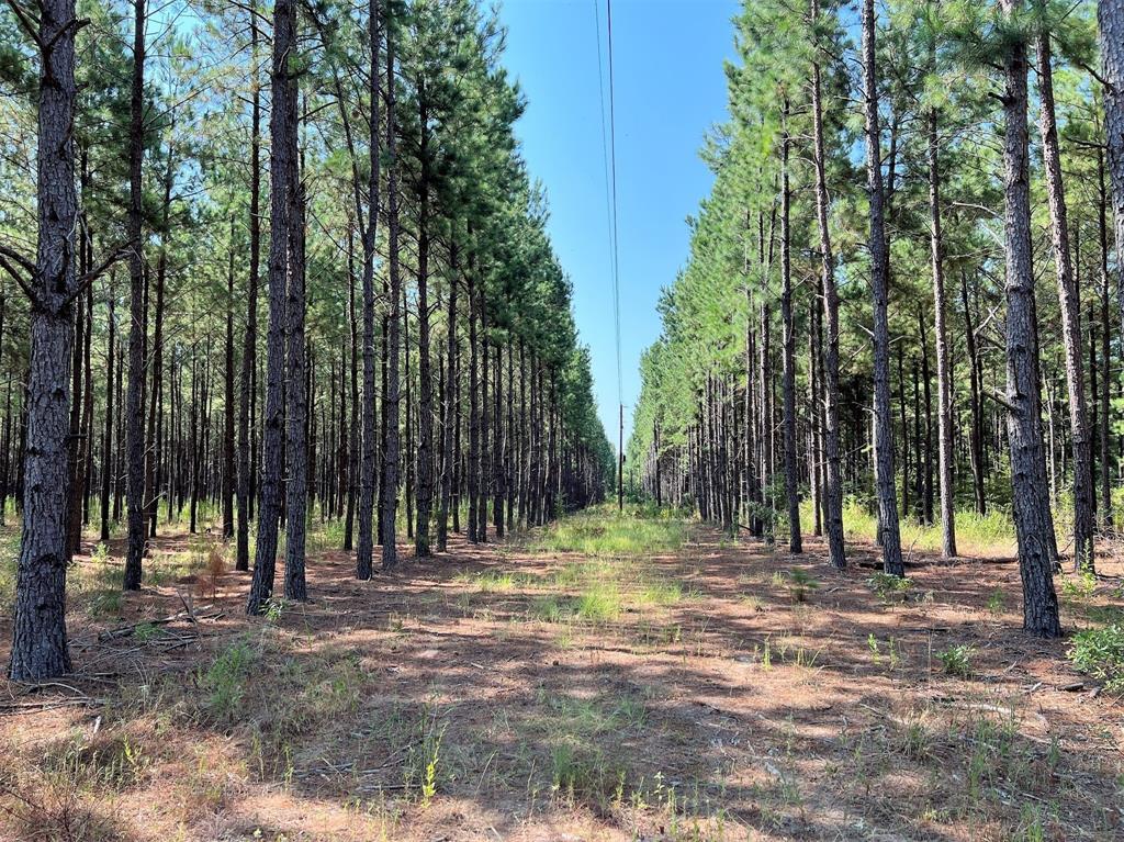 000 County Road 2138 Property Photo