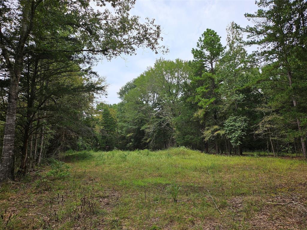 4829 Fm 227 E Property Photo
