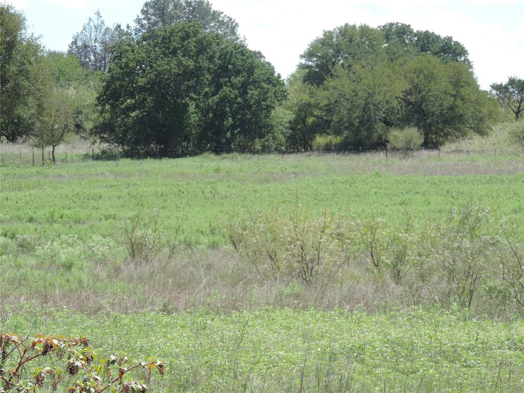 453 County Road 454 Property Photo 25