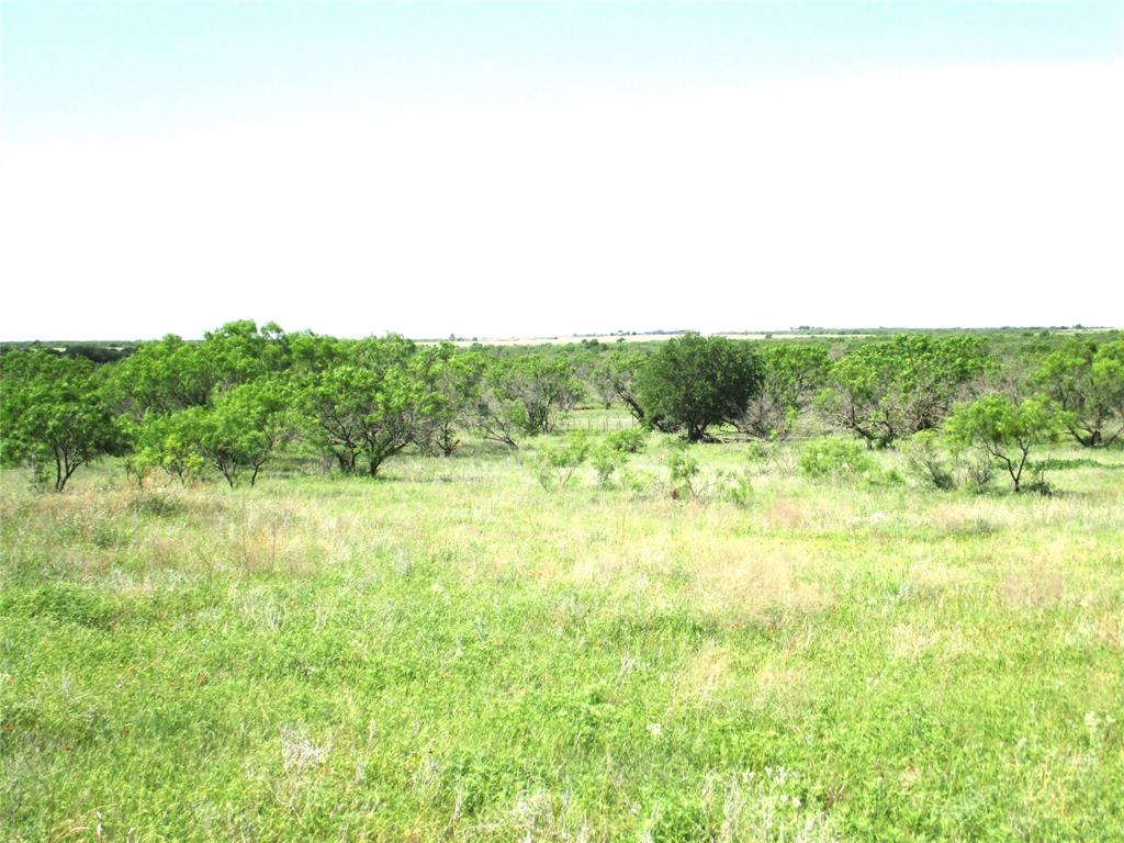 25 Ac Boren Property Photo