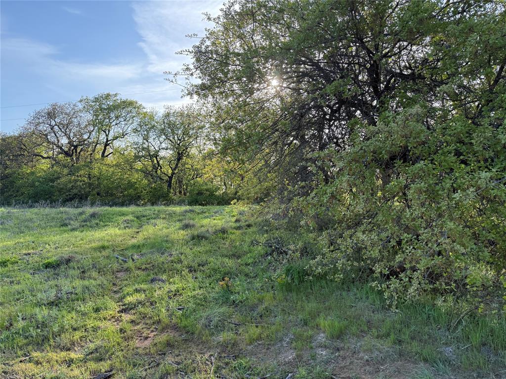 Tbd Brown Road Property Photo 1