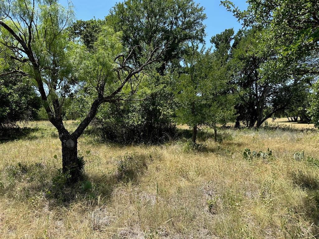 584 Breezy Street Property Photo 30