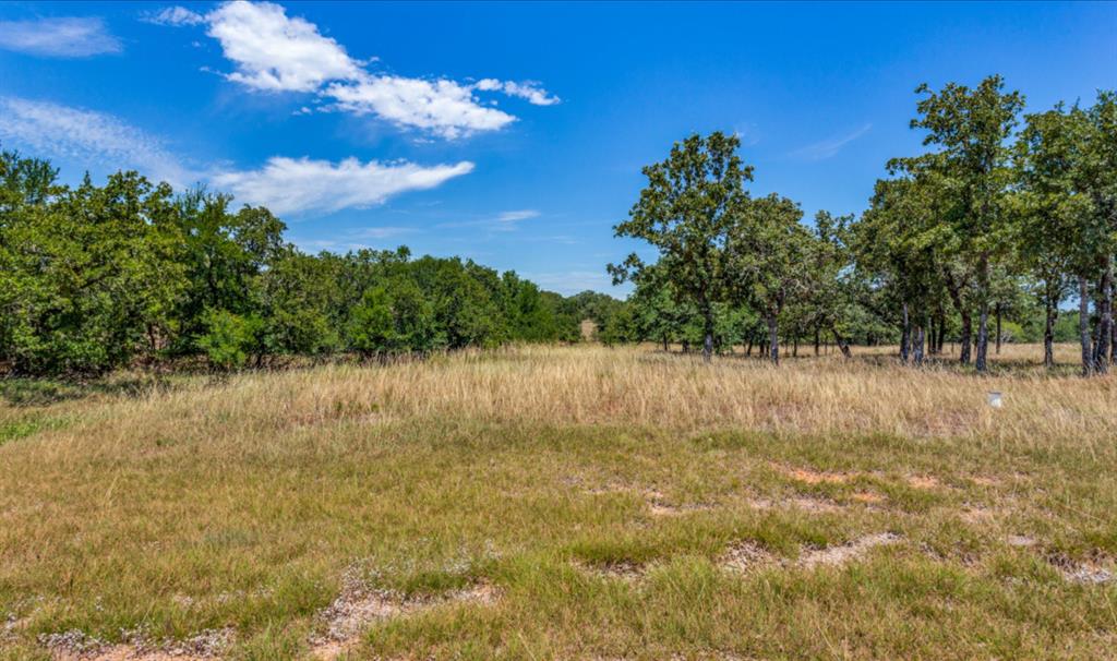 271 Creek Meadow Court Property Photo 3