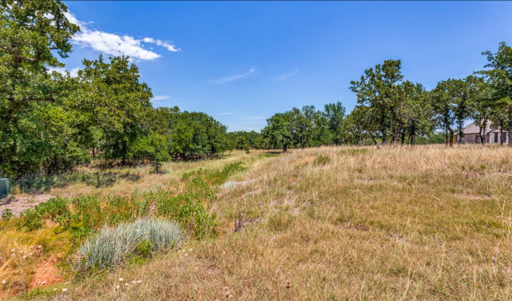 271 Creek Meadow Court Property Photo 4