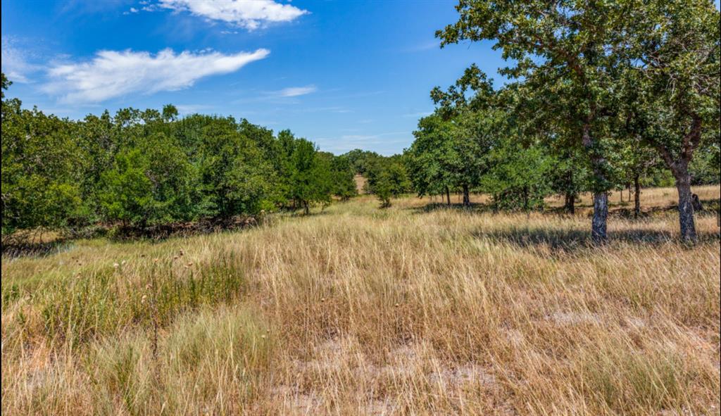 271 Creek Meadow Court Property Photo 5
