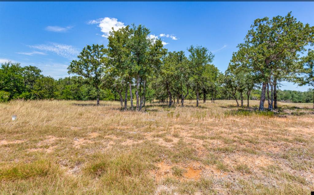 271 Creek Meadow Court Property Photo 6