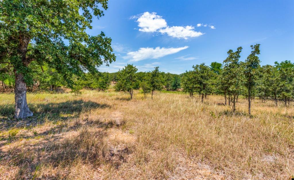 271 Creek Meadow Court Property Photo 8
