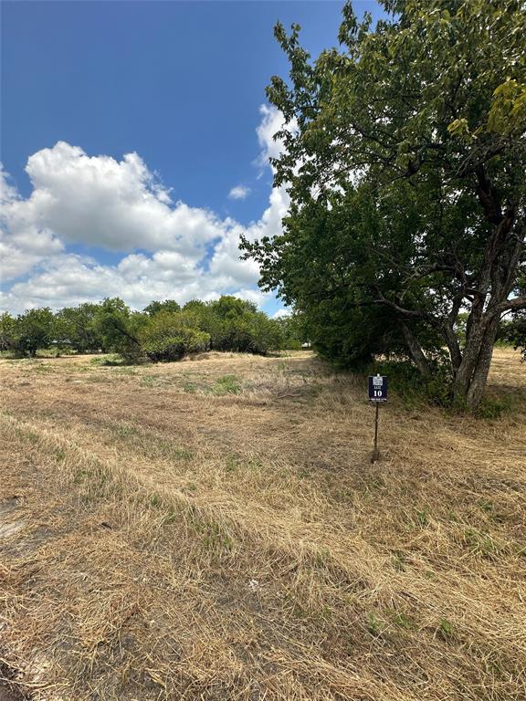 5012 Dove Street Property Photo 6