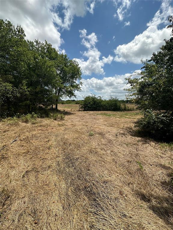5012 Dove Street Property Photo 9