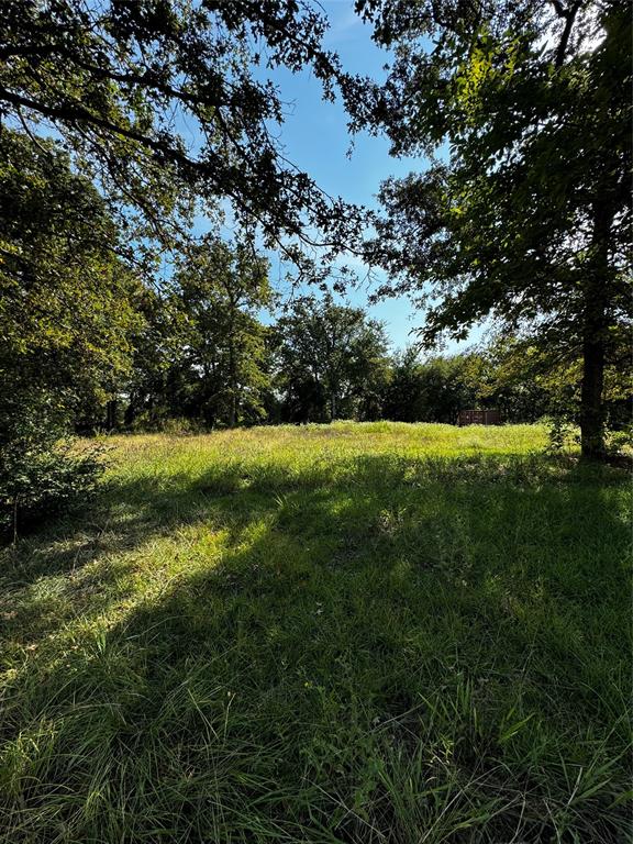 Tbd Cr-2829 Property Photo 3