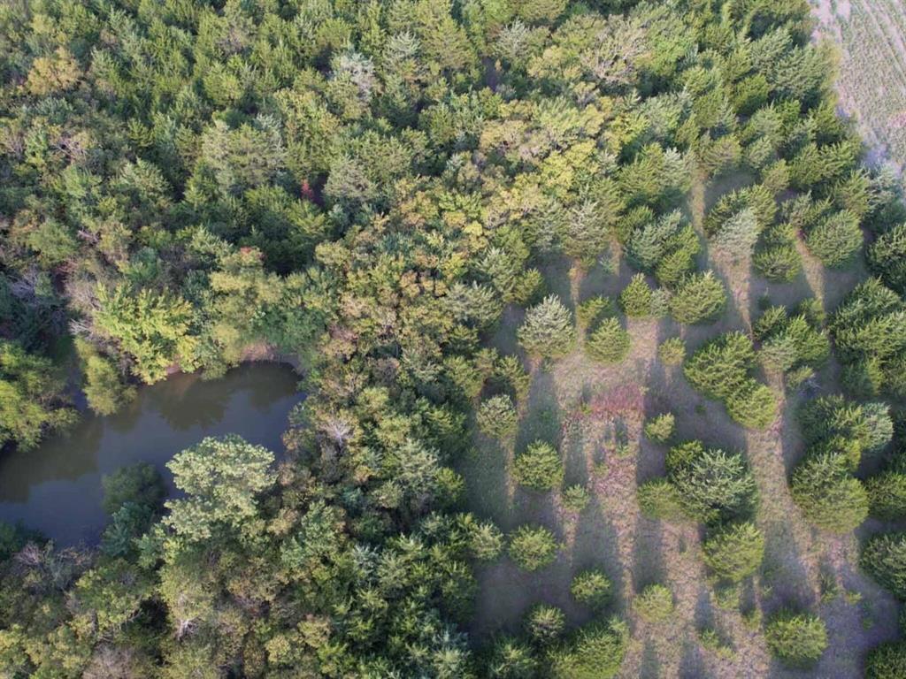 51.1 Acres Cr-3603 Property Photo 6