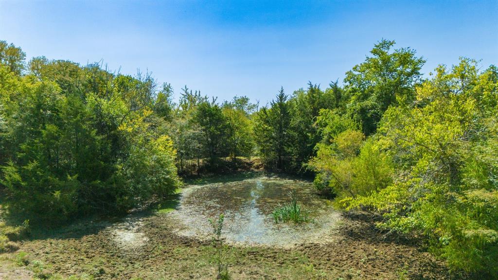 Tbd S Fm-38 Property Photo 7