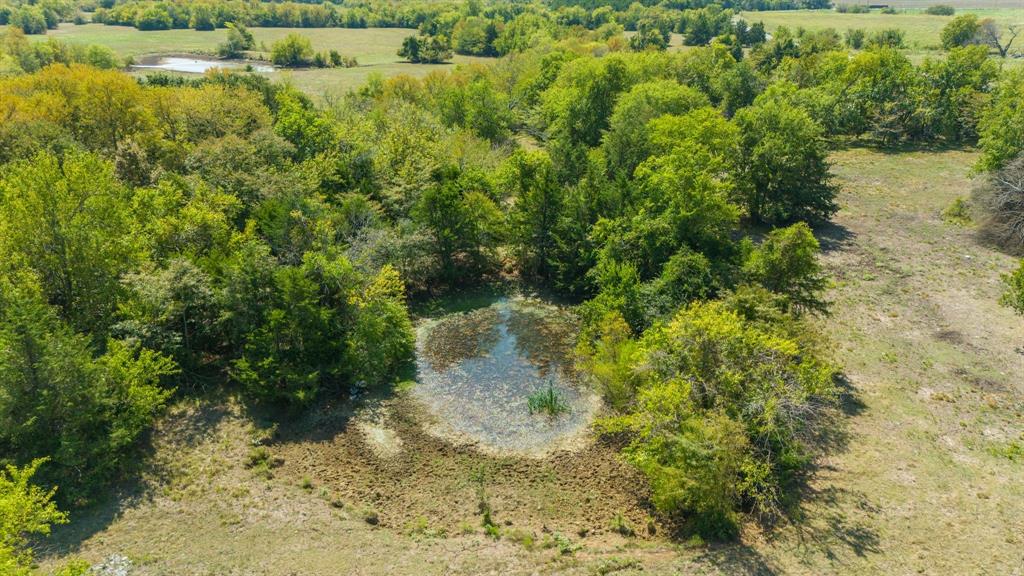 Tbd S Fm-38 Property Photo 8