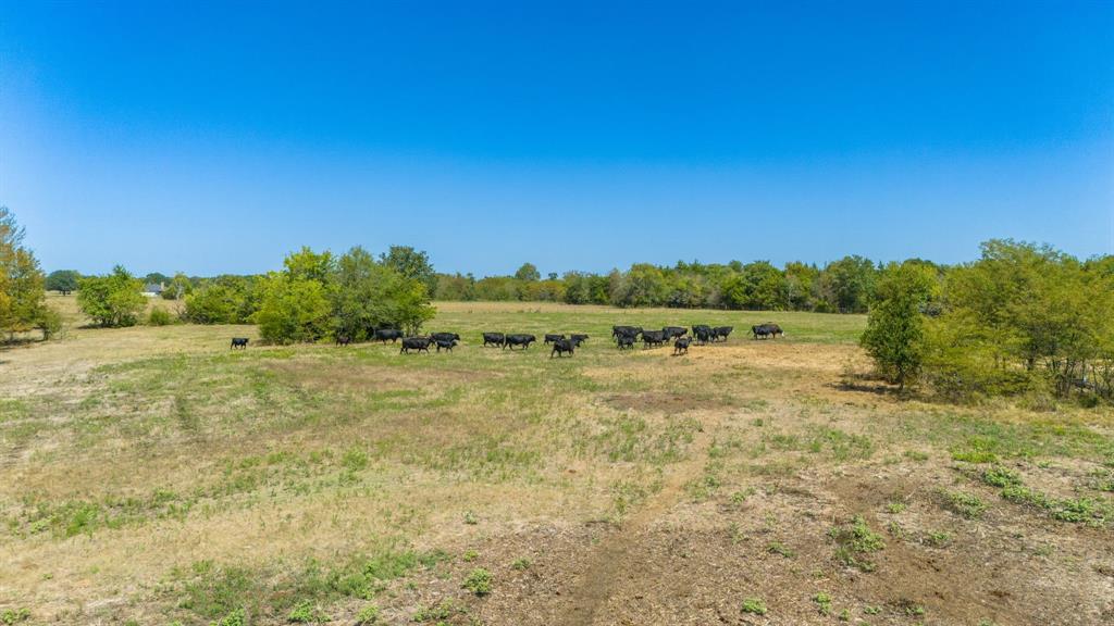 Tbd S Fm-38 Property Photo 14