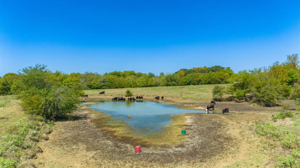Tbd S Fm-38 Property Photo 19