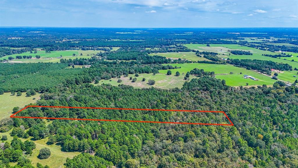 Tbd Tx-19 Property Photo