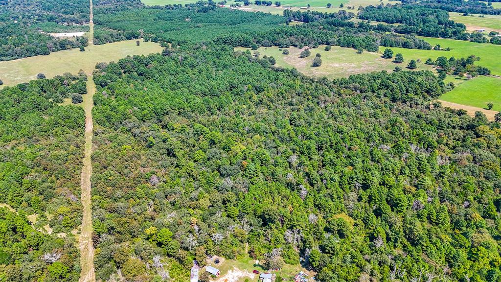 Tbd Tx-19 Property Photo 3