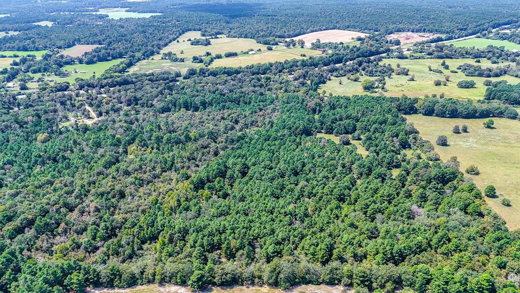 Tbd Tx-19 Property Photo 8