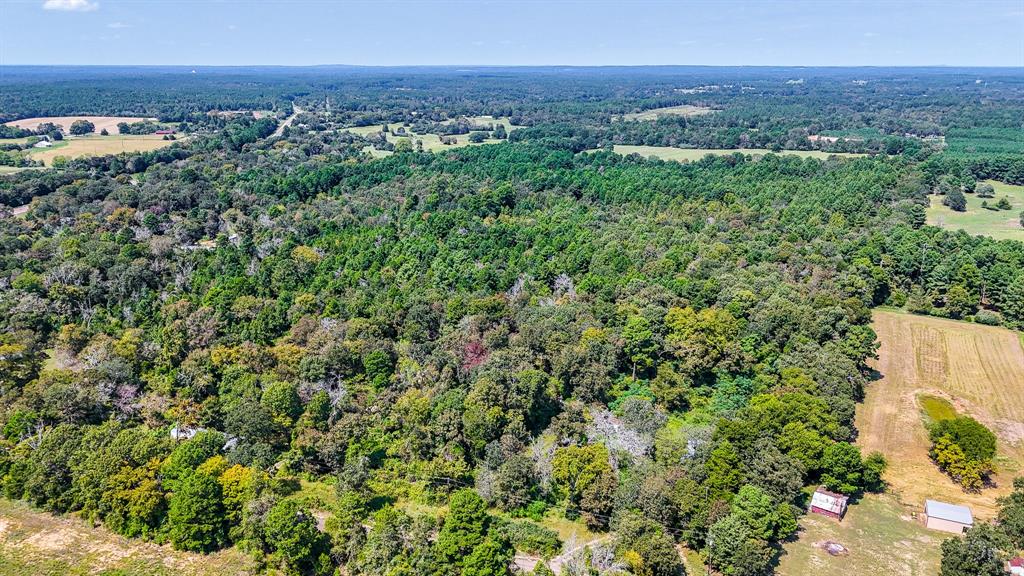 Tbd Tx-19 Property Photo 9