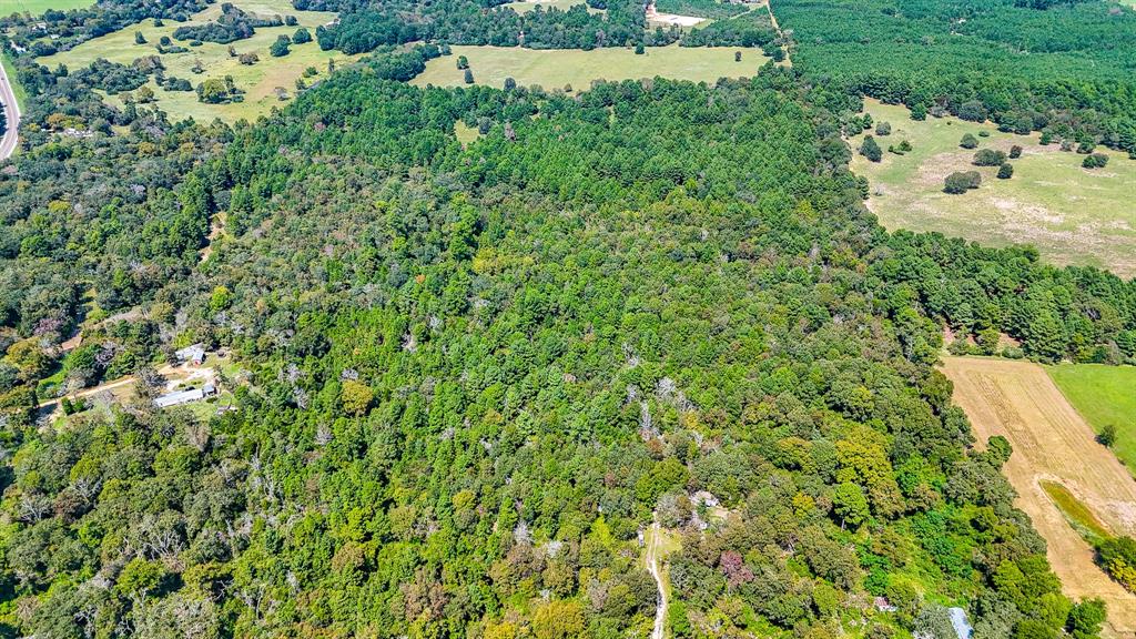 Tbd Tx-19 Property Photo 10