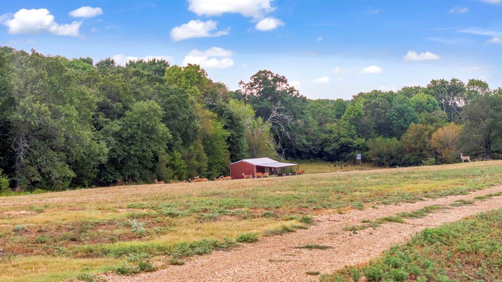 5515 Ne County Road 3130 Property Photo 10