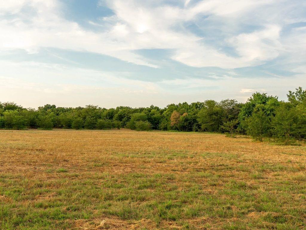 Tbd County Road 3660 County Road 3660 Property Photo 2