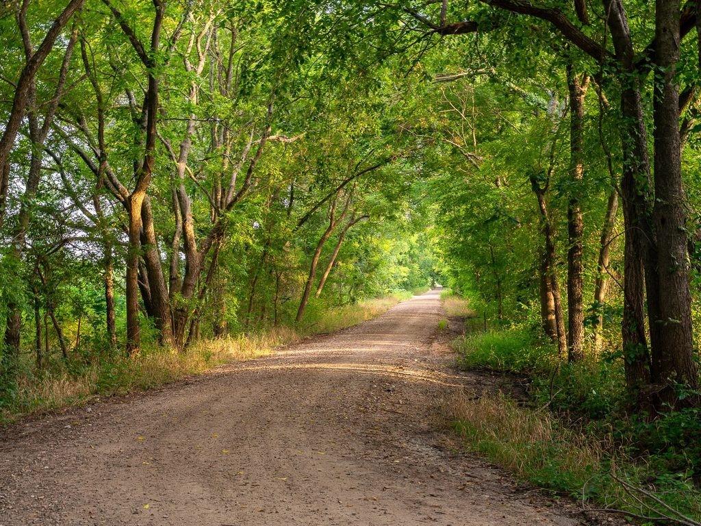 Tbd County Road 3660 County Road 3660 Property Photo 3