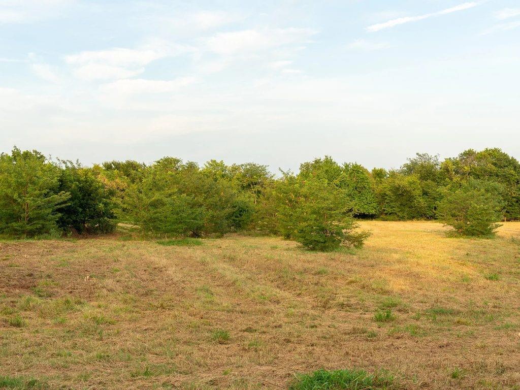 Tbd County Road 3660 County Road 3660 Property Photo 4