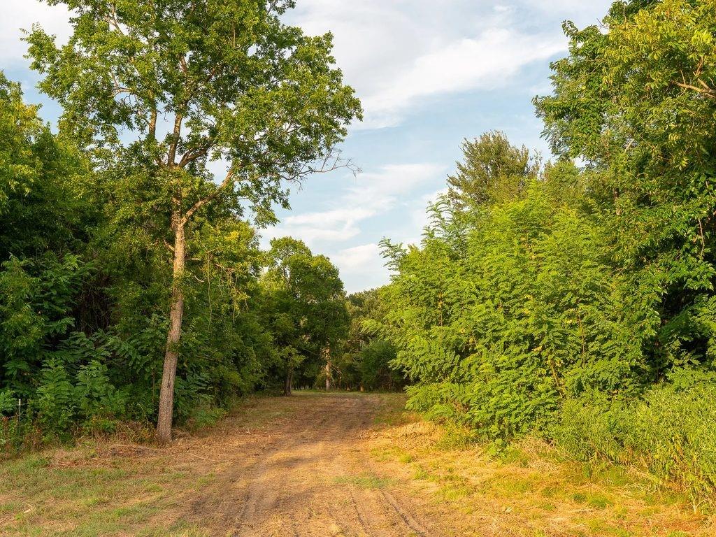 Tbd County Road 3660 County Road 3660 Property Photo 5