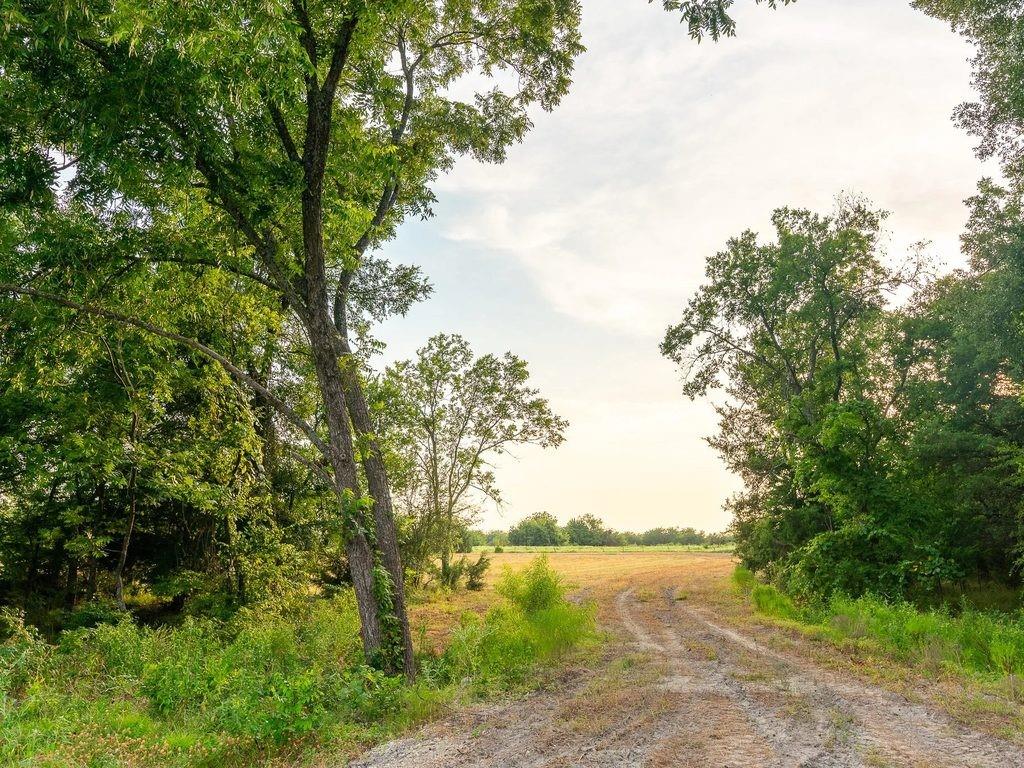 Tbd County Road 3660 County Road 3660 Property Photo 6
