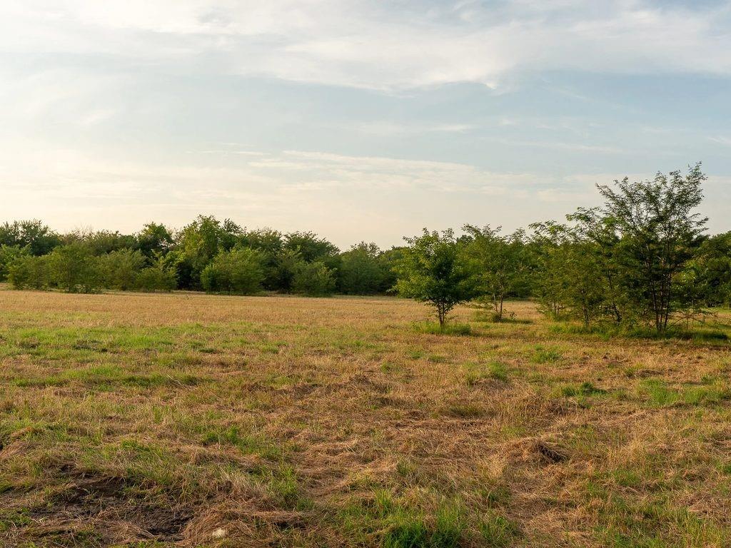 Tbd County Road 3660 County Road 3660 Property Photo 10