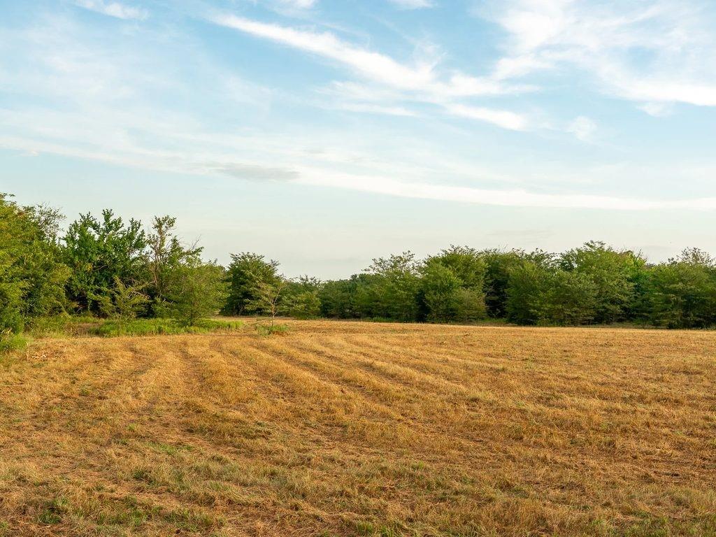 Tbd County Road 3660 County Road 3660 Property Photo 11