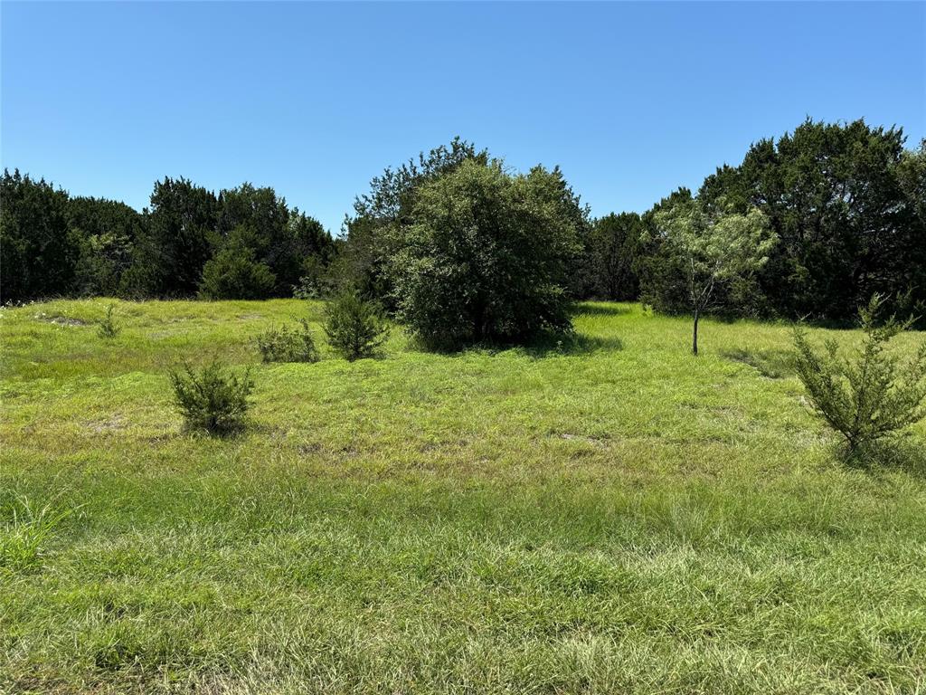 30025 Woodcrest Drive Property Photo 4