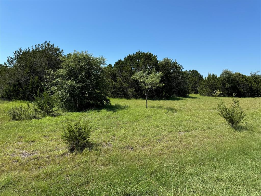 30025 Woodcrest Drive Property Photo 6