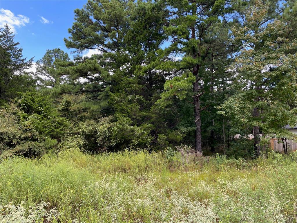 Lot 16 Tbd Cedarpark Place Property Photo 1